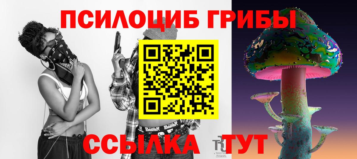 Галлюциногенные грибы Psilocybe  Вход с VPN  Сарапул 