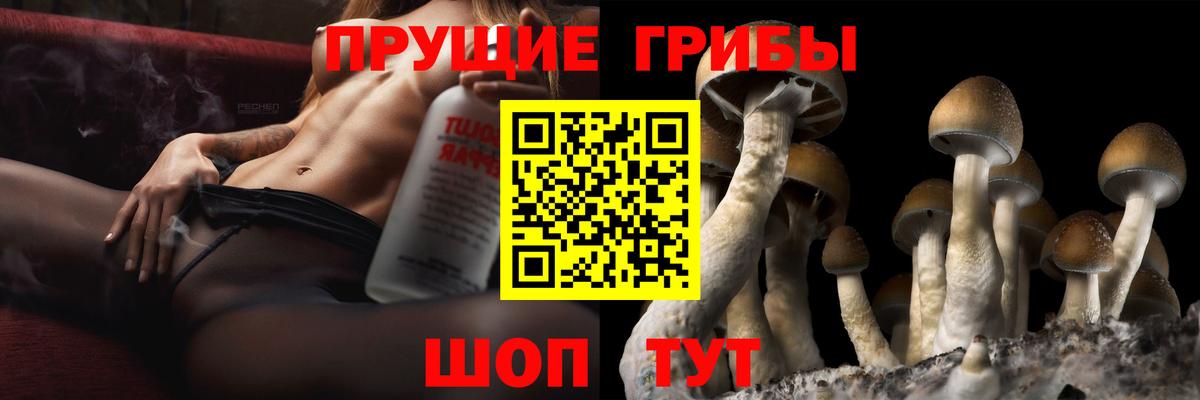 Псилоцибиновые грибы мухоморы Сарапул